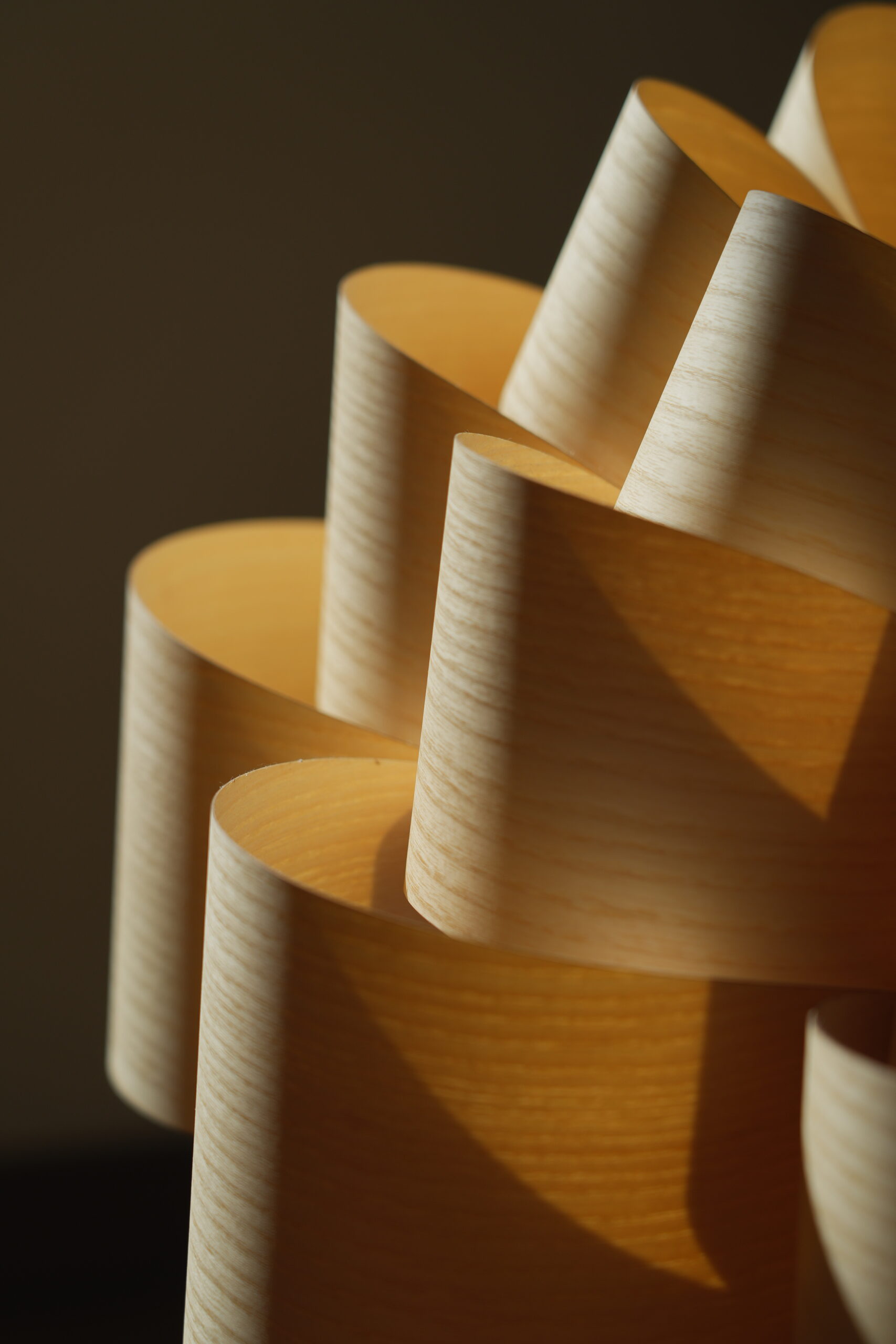 Veneer spruce shaped into a lamp